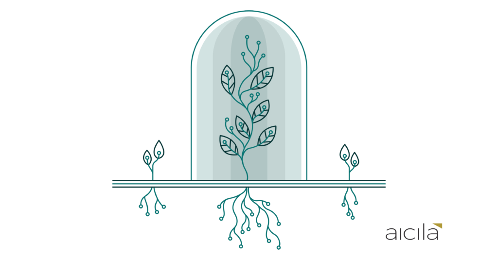 plant 01