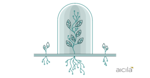 plant 01
